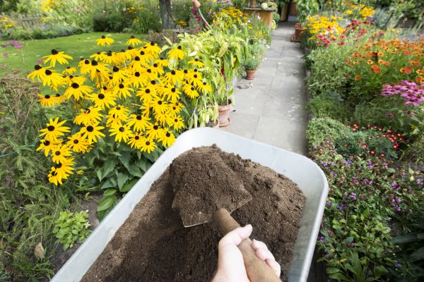 Cost of Topsoil Installation in Pueblo