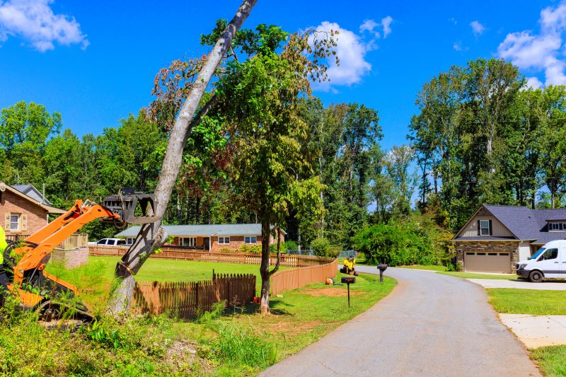 Residential Land Excavation